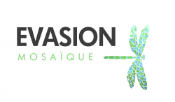 http://www.evasion-mosaique.fr