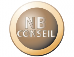 http://www.nbconseil.net/