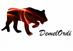 http://www.demelordi.fr